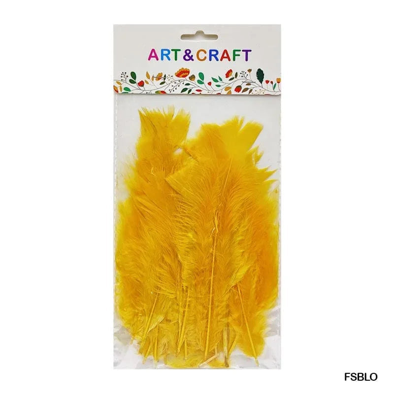 MG Traders Pack Feather Feather Soft Big Light Orange (Fsblo) (10Pcs)  (Contain 1 Unit)