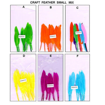 Ravrai Craft - Mumbai Branch Decoration Supplies Assorted Craft Feathers: Small Size