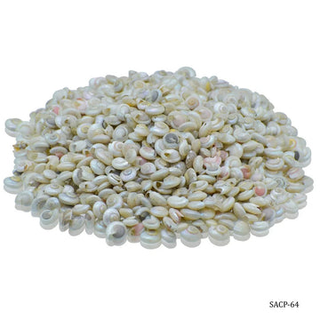jags-mumbai Resin Shells Colour Pabukannu Small 100gm SACP-64