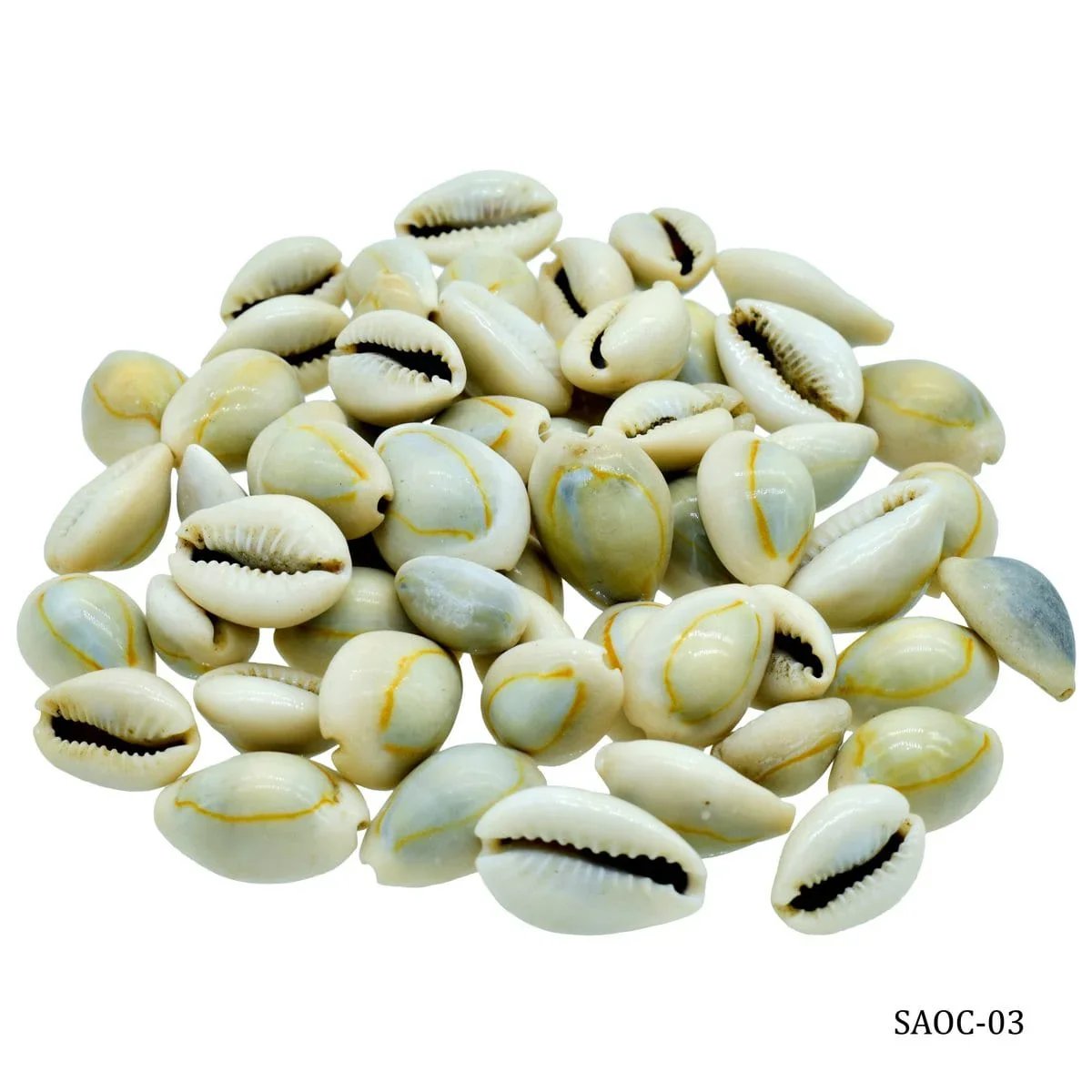 jags-mumbai Resin Shells Ordinary Cowdy 100gm