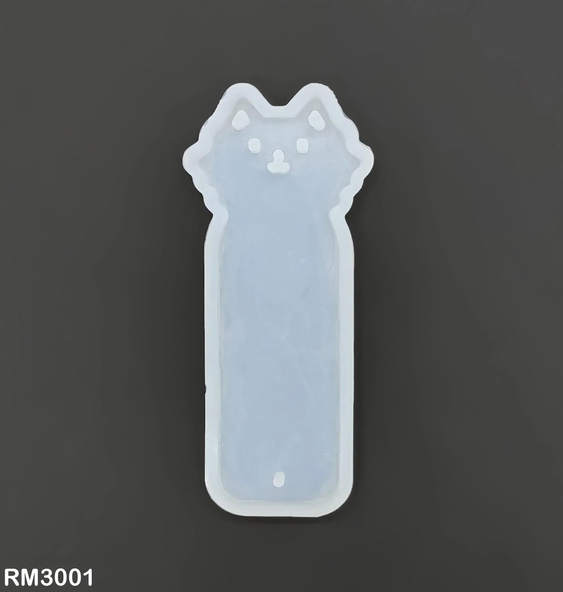 Rm3001 Silicone Mould for Resin  (10.5 X 4.5 Cm)