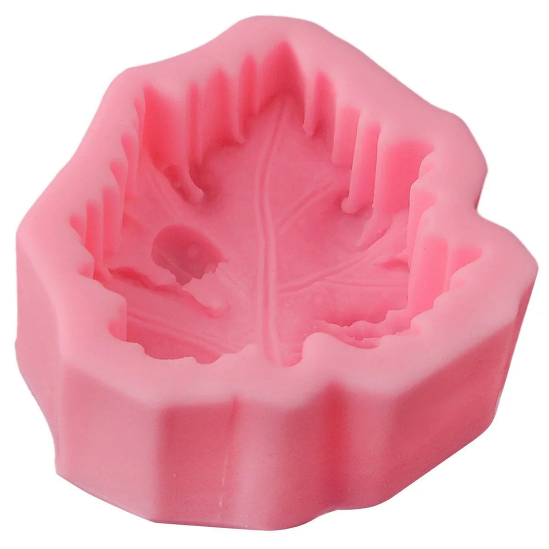 jags-mumbai Mould Silicone Mould Leaf With Bugs JSF200