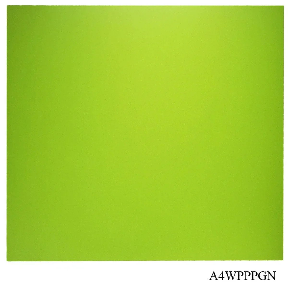 jags-mumbai Decorative Photo Frames Wellam Paper Plain A4 Parrot Green 120gsm